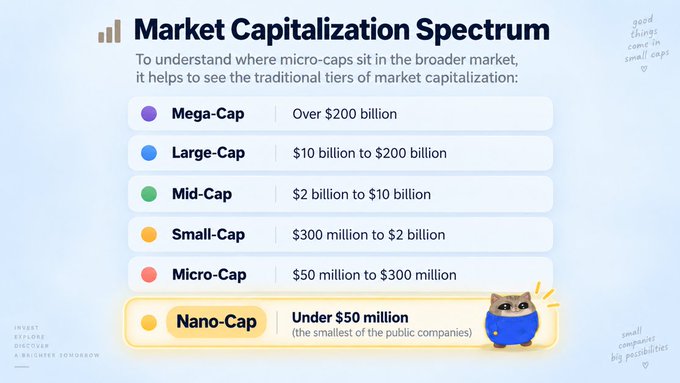 The image shows a "Market Capitalization Spectrum" chart that categorizes public companies into tiers, from Mega-Cap (over $200 billion) down to Nano-Cap (under $50 million), highlighting Nano-Cap as the smallest tier. The accompanying post uses this chart to promote "$nanoCat" as a Nano-Cap cryptocurrency project, emphasizing its placement in the smallest market cap category.