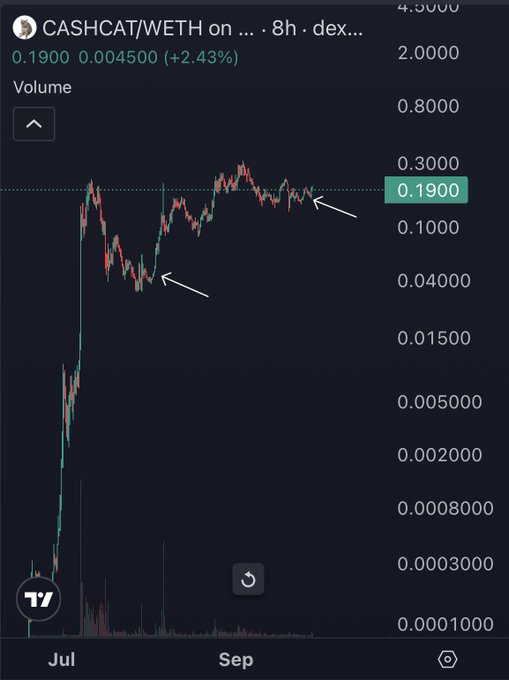 The image displays a candlestick chart of CASHCAT/WETH on a DEX, with the current price at 0.1900 (+2.43%) on an 8-hour timeframe, showing a strong uptrend from low levels in July (0.0001) to peaks around 0.3 in September. White arrows highlight key support and resistance points, suggesting bullish technical setup for $CASHCAT that aligns with the post's optimistic outlook for the token and the broader Robinhood Chain ecosystem.