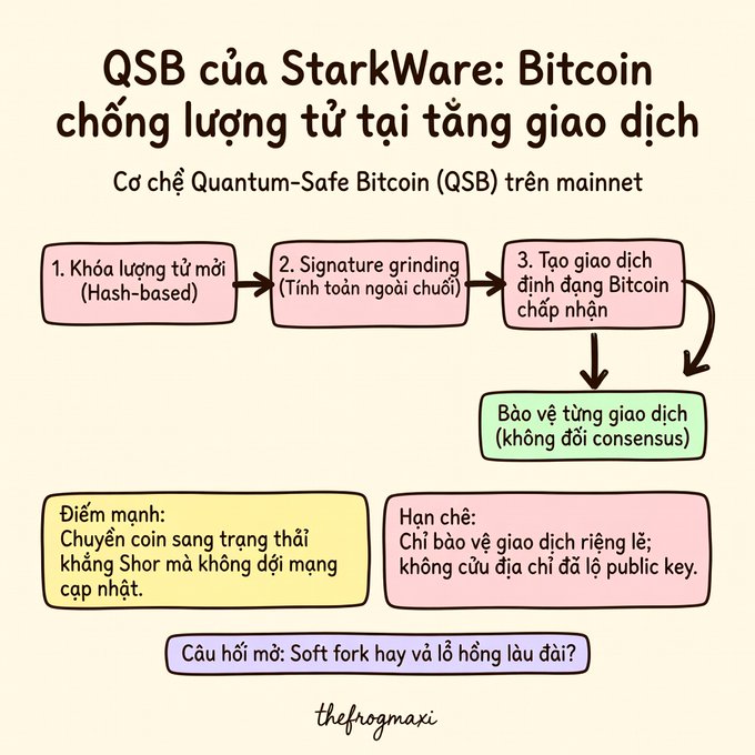 An infographic titled 'QSB của StarkWare: Bitcoin chống lượng tử tại tầng giao dịch' explaining the Quantum-Safe Bitcoin (QSB) mechanism on mainnet, detailing hash-based key locking, signature grinding, and Bitcoin transaction creation, with notes on strengths and limitations.