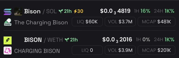 Cryptocurrency tracking interface showing two Bison/SOL and BISON/WETH trading pairs with market data including prices ($0.0₃4819 and $0.0₃2016), liquidity, volume, and market cap metrics.