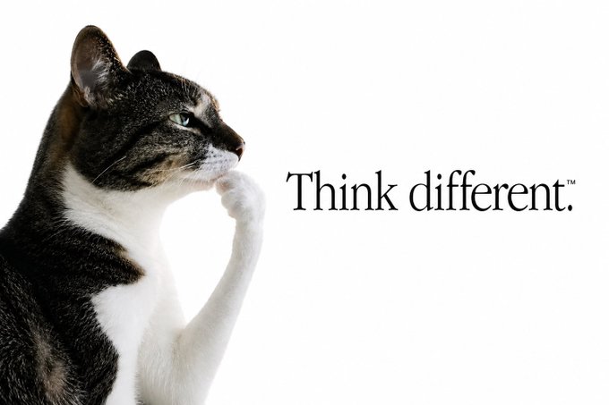 A black and white tabby cat poses thoughtfully with its paw on its chin next to the iconic 'Think different.' tagline.