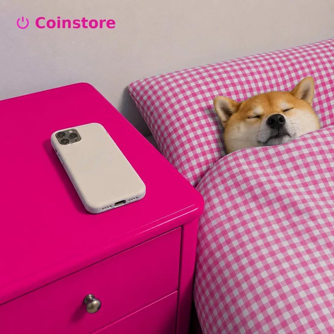 A Shiba Inu dog sleeping in a pink gingham bed next to a pink nightstand holding a white phone, with the 'Coinstore' logo in the corner.