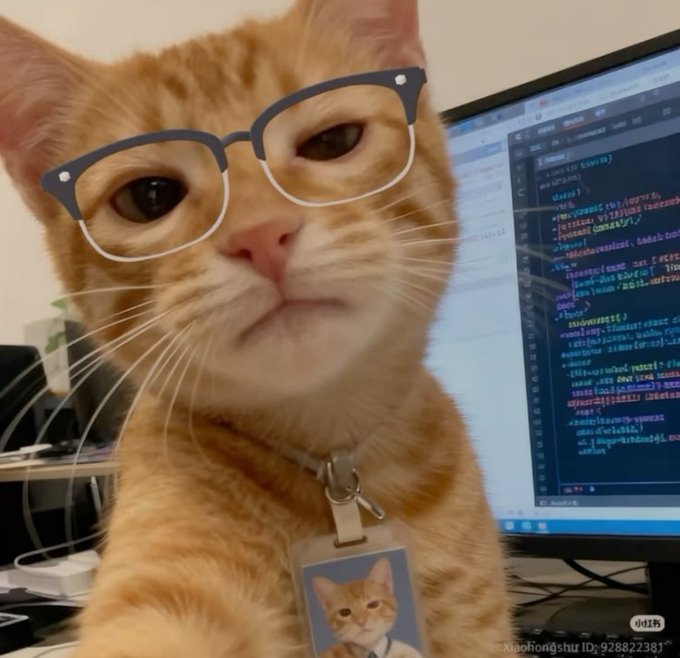 An orange tabby cat wearing blue-framed glasses and an ID badge poses in front of a computer screen displaying code, humorously embodying the "gm degens" greeting by looking like a studious developer ready to start the day. The caption "xiohongshu ID: 92882238" is visible in the corner.
