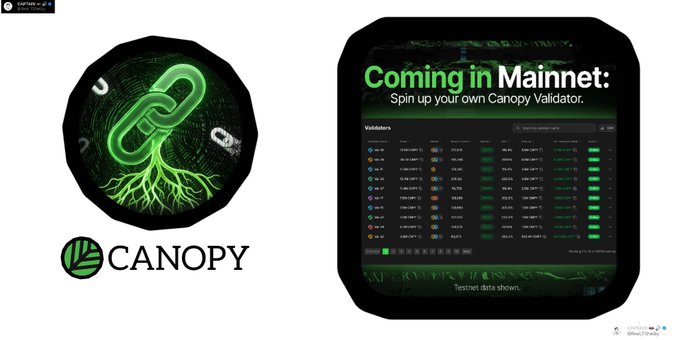 A promotional graphic for Canopy featuring a green chain-link logo and text 'Coming in Mainnet: Spin up your own Canopy Validator' alongside a screenshot of a validator dashboard.