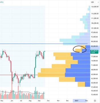 A financial chart displays candlestick price action and volume profiles in USD, with the price circled near 85,000.
