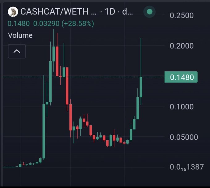 A 1D candlestick chart of the CASHCAT/WETH trading pair shows a dramatic price reversal, surging 28.58% to 0.1480 WETH from a low near 0.01600, illustrating the "Holy reversal" mentioned in the post amid speculation about a potential Robinhood listing driving the token toward new highs.