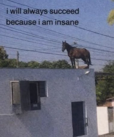 A meme featuring a horse standing on the roof of a white building, captioned 'i will always succeed because i am insane'.