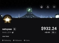 A screenshot of the netvyree X profile shows a following count of 0, no coins, and an account value of $932.24, ironically reflecting the post's lament about gaining 14,200 followers yet still feeling "poor" despite massive financial growth from $936 to $245,783 on Pumpfun.