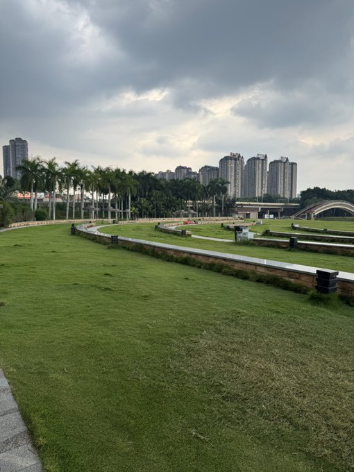 An outdoor view of a grassy park with palm trees in the foreground and a cluster of high-rise apartment buildings in the background under a cloudy sky.
