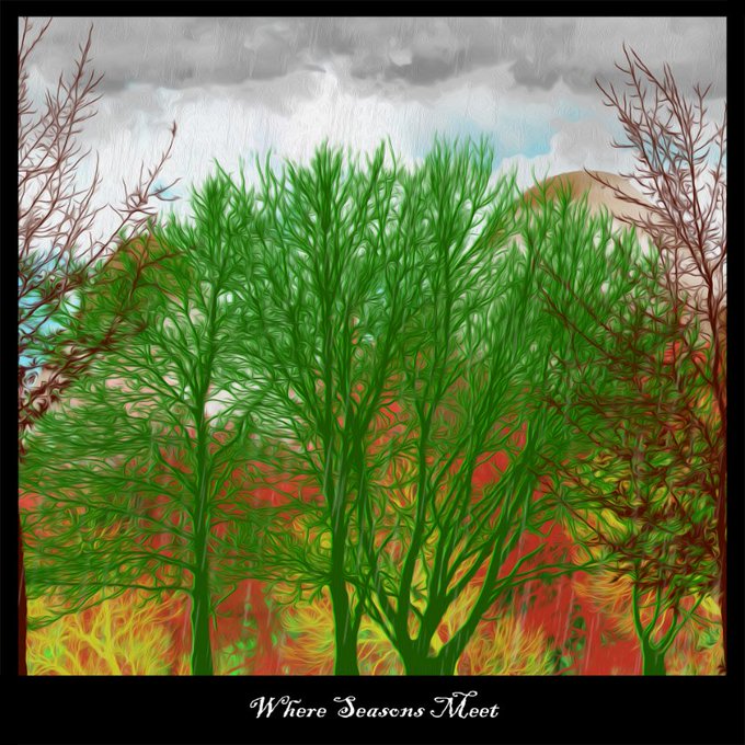 An artistic illustration titled "Where Seasons Meet" depicting green leafy trees in the center, flanked by reddish-brown branches on the sides, set against a background of orange and yellow hues representing autumn.