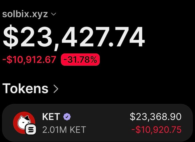 A screenshot of the solbix.xyz portfolio tracker shows a wallet holding 2.01M $KET tokens valued at $23,368.90, with an unrealized loss of -$10,920.75 (-31.78%) displayed prominently in red. The image illustrates the post's claim of significant gains, showing the current token holdings and their dollar value after the wallet's reported 12x return on a $2,210 initial investment.