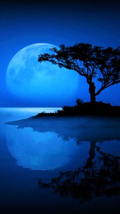 A serene, moonlit silhouette of a lone tree on a small island is mirrored in still blue water beneath a starry sky, evoking the quiet close of day.

The image complements the post's "Good Night" greeting and the winding-down tone of Nucleus Season 2, reinforcing the message to contributors that the season is ending and there's still time to lock in your ranking.