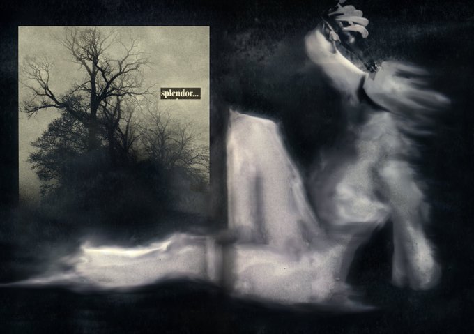 A dark, moody composition featuring a ghostly reclining figure in white alongside a vintage photograph of bare trees labeled 'splendor...'.