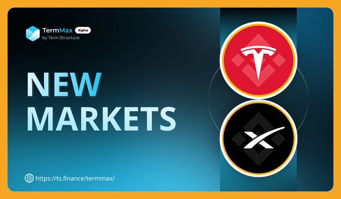 A promotional graphic for TermMax by Term Structure announces "NEW MARKETS" featuring circular icons for Tesla (TSLA) and a black ticker coin, with the URL https://ts.finance/termmax/ displayed at the bottom, illustrating the platform's expansion of trading pairs that allow users to express bearish views with capped risk.