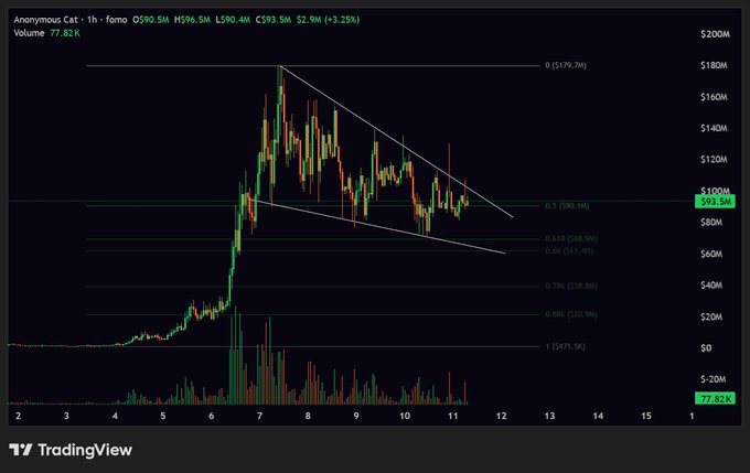 A TradingView candlestick chart for $ZCAT (Anonymous Cat) shows a bullish falling wedge pattern forming on the 1-hour timeframe, with price consolidating between the $90M and $100M support/resistance levels near the 0.618 Fibonacci retracement at $100.1M, accompanied by a notable spike in trading volume of 77.82K on the latest hourly candle.