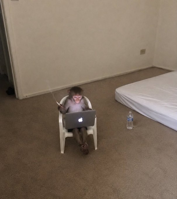 A humorous photo of a young monkey sitting on a small white plastic chair, wearing a diaper, and appearing to use a silver Apple MacBook laptop while holding a cigarette, with a water bottle on the floor beside it in a sparse room.