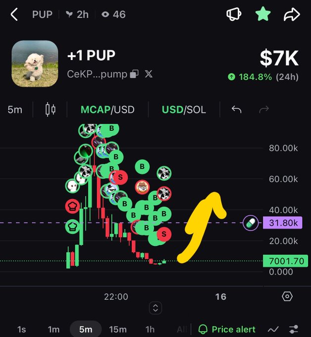 A cryptocurrency trading chart for PUP token showing a market cap of $7K with a 184.8% gain over 24h, with an arrow pointing to the recent price movement.