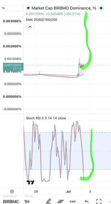 TradingView chart showing BIRBMC market cap dominance at 0.001256% (+65.21%) with EMA 20/50/100/200 indicators and a Stoch RSI 3 3 14 14 oscillator on a 1H timeframe.