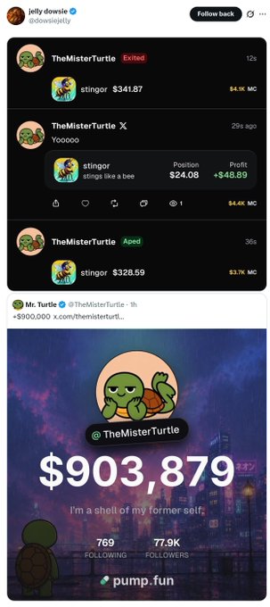 A Jelly.dowsie social media post showing transactions on pump.fun featuring @TheMisterTurtle stings, including a 'Yoooooo' comment, 'stings like a bee' trade at $24.08 with +$48.89 profit, and a main image showing $903,879 with 769 followers.