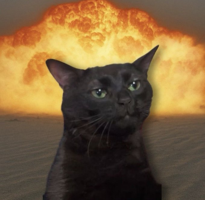 A black cat with striking green eyes sitting in front of a large orange explosion or fireball rising in the background.