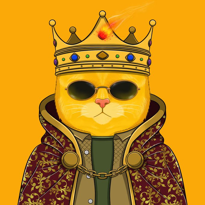 Digital illustration of an orange cat wearing sunglasses, a jeweled crown, and ornate red and gold royal robes against an orange background.