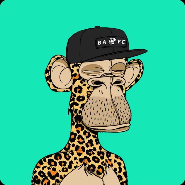 A digital illustration of a Bored Ape-style NFT character with leopard print fur, wearing a black 'BAYC' cap against a teal background.