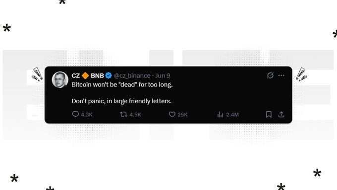 The image features a black and white Twitter post from a user named CZ, who has written a humorous response about Bitcoin. The post includes a quote from a person named Binance, stating that Bitcoin isn't worth anything because it's too long. The post also mentions that Bitcoin is not good to show fake support for, as it could be used by scammers or hackers.