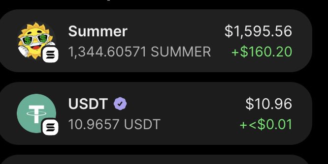 A crypto wallet screenshot displays holdings of 1,344.60571 SUMMER tokens valued at $1,595.56 (up $160.20) and 10.9657 USDT ($10.96), illustrating the growing token balance and accompanying USDT rewards referenced in the post about earning passive income by holding 1,000+ SUMMER tokens.