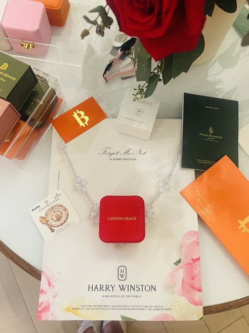 An assortment of luxury items laid out on a glass table, including a Harry Winston Forget Me Not necklace catalog, a Lioness Grace red jewelry box, jewelry boxes from Four Seasons and Believe, and a red rose in the background.