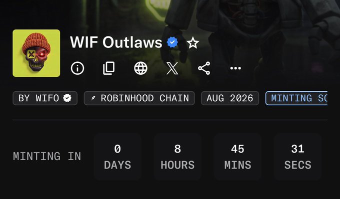 Screenshot of a "WIF Outlaws" NFT/token project on Robinhood Chain with a minting countdown timer showing 0 days, 8 hours, 45 minutes, and 31 seconds, featuring a skull logo wearing a red beanie with X eyes.