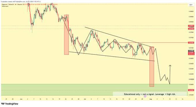 A TradingView chart of DOGE/USDT on a 4-hour timeframe (June 29, 2025) shows a descending wedge pattern with red highlighted zones indicating bearish accumulation candles, with price currently at 0.0208 and approaching a green monthly demand zone near 0.051, supporting the post's thesis of a potential final flush before bullish reversal.