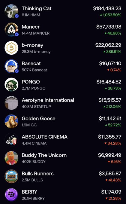 A screenshot of a cryptocurrency portfolio tracker displaying holdings including Thinking Cat ($184,488.23, up 1,053.50%), Mancer ($57,733.98, up 46.98%), and b-money ($22,062.29, up 389.91%), along with various meme coins like Basecat, PONGO, and Golden Goose with their respective gains and losses. The image directly visualizes the poster's claim about having substantial "bags" in Thinking Cat, Mancer, and b-money, showcasing the significant percentage gains these three highlighted holdings have made.