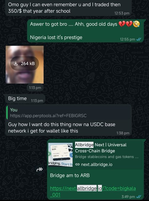 A WhatsApp conversation screenshot showing messages about trading $350, a photo attachment (264 kB), and links to 'perpttools.ai' and 'allbridge.io' for USDC bridging to ARB network, referencing 'Nigeria lost it's prestige'.