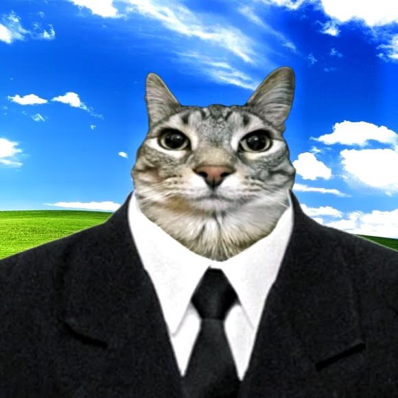 A humorous photoshopped image showing a cat's head on a human body wearing a black suit and tie, set against the classic Windows XP 'Bliss' background.