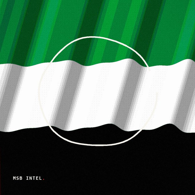 A graphic design features the UAE flag colors—green, white, and black—rendered with wavy, ribbon-like bands, overlaid with a thin white circle. The text "MSB INTEL." appears in the bottom left corner, framing the announcement of Flipster's VARA license achievement.