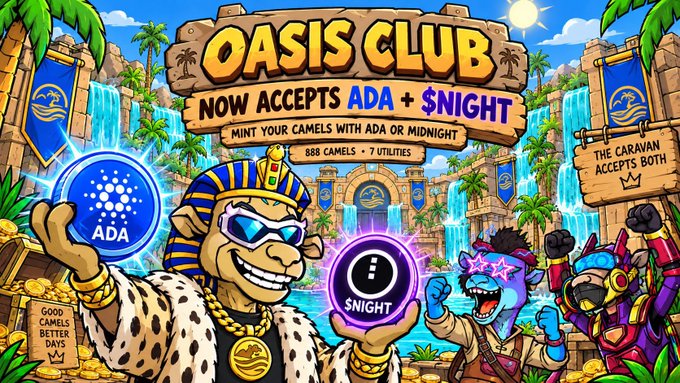 A promotional graphic for 'Oasis Club' announcing it accepts ADA and $NIGHT tokens, featuring a pharaoh-like camel character holding the tokens.