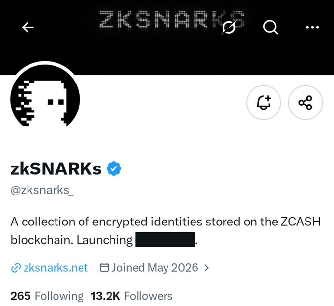 A screenshot of a verified X account named “zkSNARKs” with the handle “@zksnarks_” describes “A collection of encrypted identities stored on the ZCASH blockchain.”
