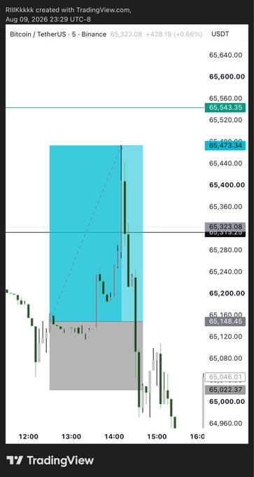 A TradingView chart of Bitcoin/TetherUS on Binance showing a price of 65,323.08 (+428.19, +0.66%), with a cyan trading box drawn around the price action.