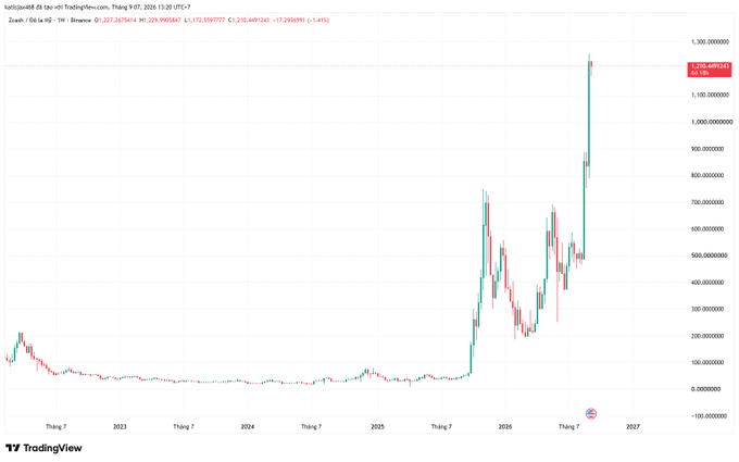 A TradingView price chart displays Zcash (ZEC/USD) on Binance, showing a dramatic price surge from near-zero in early years to a recent peak of $1,258.69 (marked with a US flag icon) on the daily timeframe.