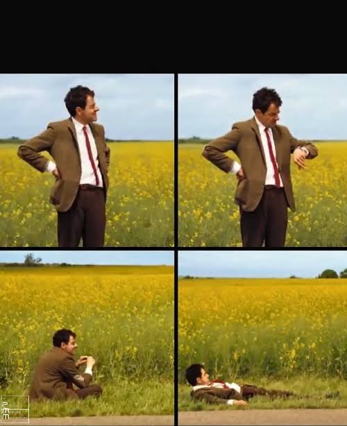 A four-panel image shows a man in a brown suit standing and eating in a yellow flower field, then sitting on the grass, and finally lying on his back in the field.