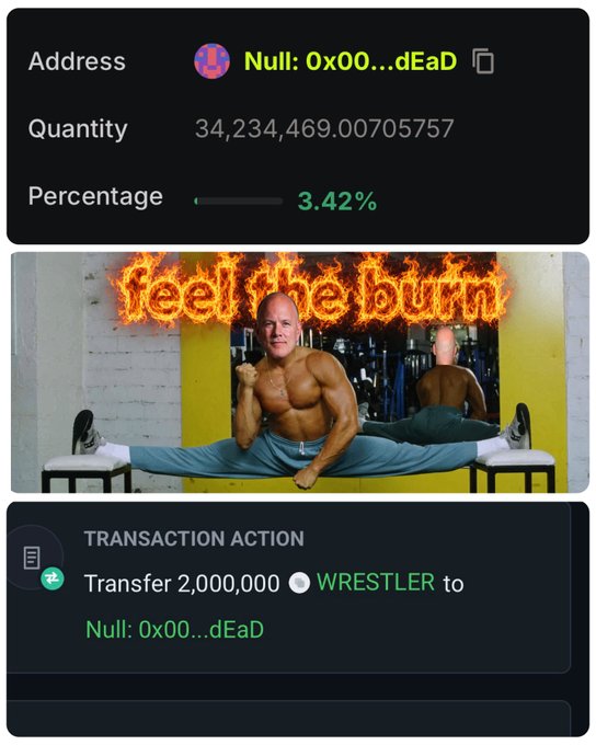 A crypto transaction details screen shows a transfer of 2,000,000 $WRESTLER tokens to the Null: 0x00…dEaD burn address (3.42% of supply, ~34.23M tokens), paired with a meme of a muscular bald man doing splits beneath flaming "feel the burn" text—visually celebrating the community-driven token burn highlighted in the $WRESTLER Ring update.