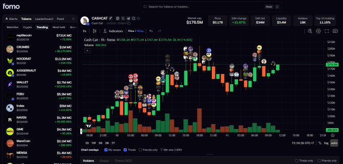 A dark-themed cryptocurrency tracking interface called 'fomo' displaying the CASHCAT token chart with a market cap of $176.6M, price of $0.178 (+21.67%), and a list of trending meme coins including CRUMBS, HOODRAT, AXOBEARU, WALLET, FEBU, Index, NAYEN, GME, MemCoin, and MENSA.