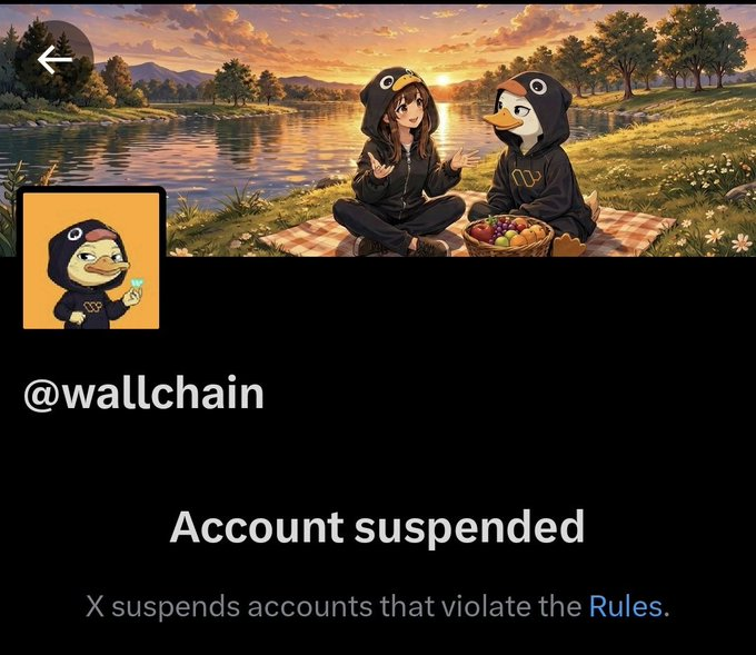 The image shows a social media post about suspending an account, with a screenshot of the suspended account's page. The post also includes text that explains why the suspension occurred and mentions that the platform is still live. The caption reads "woke up to wallchain account suspension news @wallchain team already confirmed theyre working on it and the platform itself is still live". This message seems to be directed towards a specific user, as indicated by the use of the hashtag #wallchain in the post.
