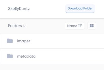 A screenshot of a file interface showing 'SkellyKuntz' with folders labeled 'images' and 'metadata' and a 'Download Folder' button.