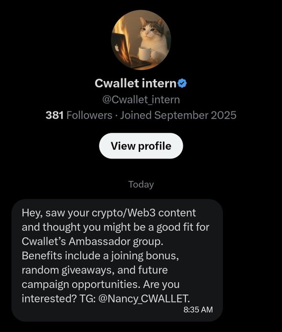 A Twitter/X DM screenshot from 'Cwallet intern' (@Cwallet_intern) recruiting for a crypto 'Cwallet's Ambassador group' and directing users to Telegram via 'TG: @Nancy_CWALLET'.