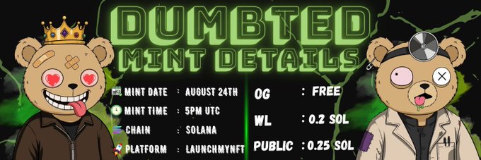 A promotional graphic for 'DUMBTED MINT DETAILS' featuring two bear-like cartoon characters, with text listing mint date as August 24th on Solana via LaunchMyNFT, with OG free, WL 0.2 SOL, and public 0.25 SOL.