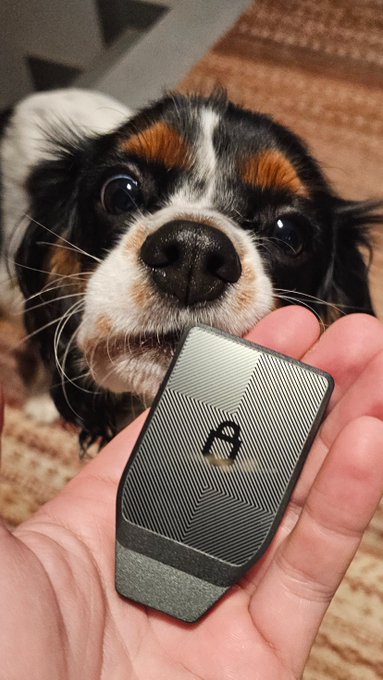A Cavalier King Charles Spaniel curiously sniffs a Trezor hardware wallet being held up in a person's hand. The image playfully illustrates the "Charlie doing a sniff test" moment mentioned in the post, giving a personal touch to the announcement about upcoming Trezor-related content and an AMA with SolanaCZE.
