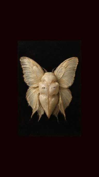 A pale, moth-like creature with outstretched wings and visible eyes, rendered in a vintage natural history illustration style against a dark background.