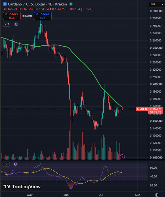 A TradingView daily candlestick chart for ADA/USD on Kraken shows Cardano trading at $0.166475, with price once again testing the 50-day moving average (the green line) near the $0.16–$0.17 level after a broader downtrend from May highs. The RSI at the bottom sits around 40, suggesting indecision as traders watch for a breakout that could push ADA back above $0.20.