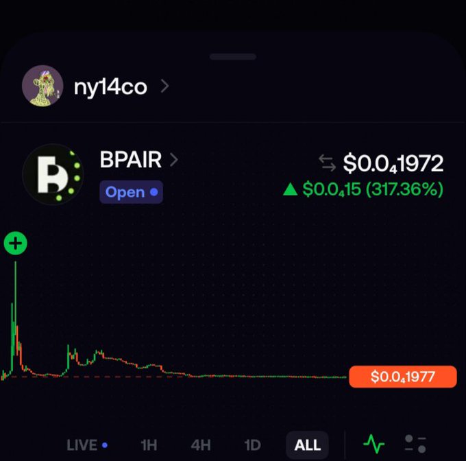 A cryptocurrency chart showing the BPAIR token trading at $0.04972, up 317.36%, displayed under the profile 'ny14co' with a green-and-red price graph.